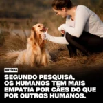 pesquisa aponta que filhotes e cães geram mais empatia que adultos humanos