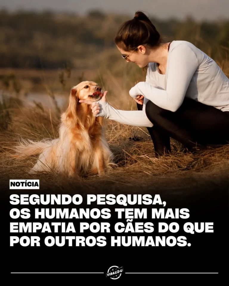 pesquisa aponta que filhotes e cães geram mais empatia que adultos humanos