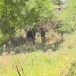 ossada humana encontrada em mata de campina grande choca moradores; polícia investiga
