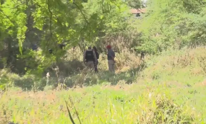 ossada humana encontrada em mata de campina grande choca moradores; polícia investiga
