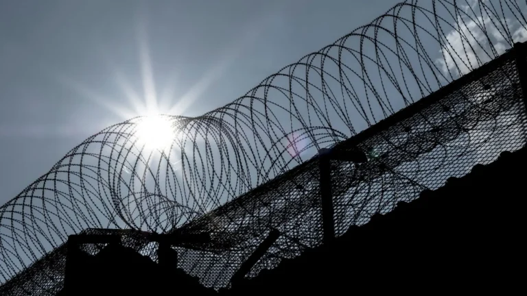 saidinhas de natal 2025: 46 mil presos deixam presídios; são paulo lidera libertações