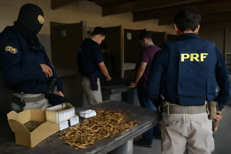 operação desarticula comércio ilegal de munições e acesso de facções a clube de tiro na pb
