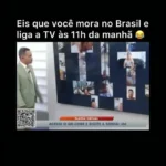 cachorro caramelo invade jornal ao vivo e viraliza nas redes
