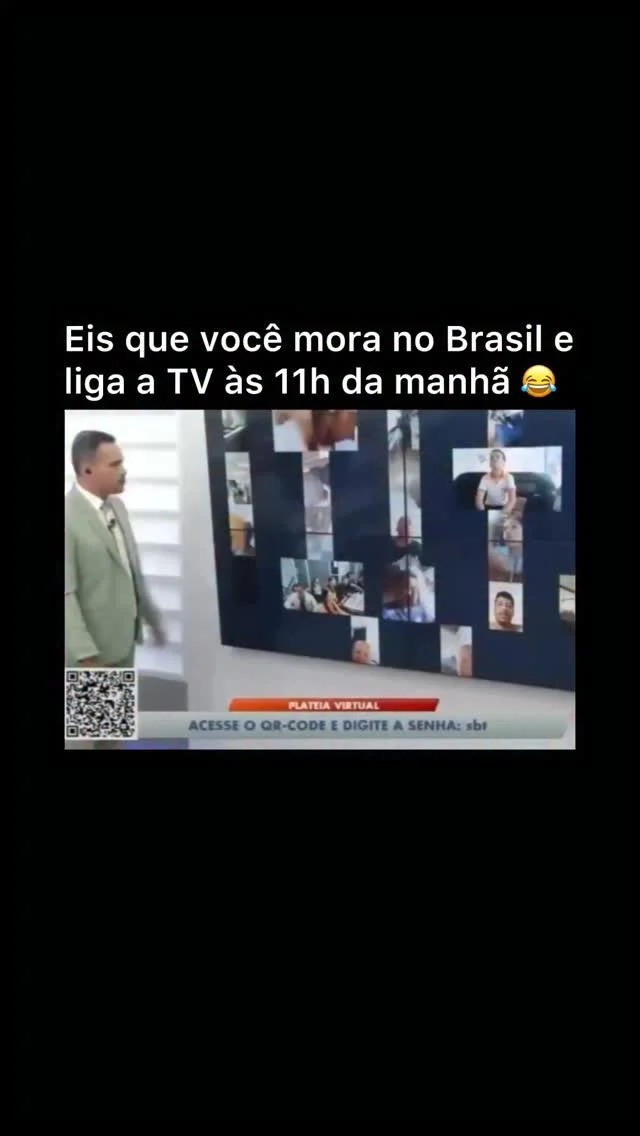 cachorro caramelo invade jornal ao vivo e viraliza nas redes