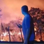 massaranduba: incêndio de grandes proporções atinge matagal e assusta moradores na pb