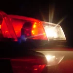 homem preso com carro roubado e aves silvestres em campina grande