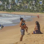 Águas vivas no litoral de joão pessoa: 30% mais casos!