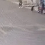 mulher é assassinada com 6 tiros em arara, pb; vídeo choca e ex companheiro é suspeito