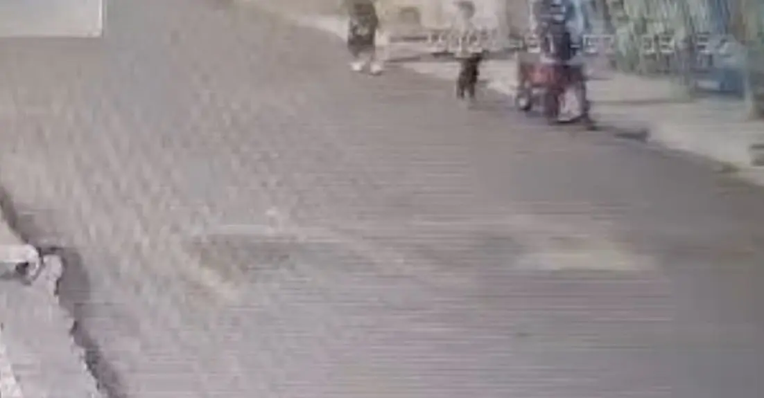 mulher é assassinada com 6 tiros em arara, pb; vídeo choca e ex companheiro é suspeito