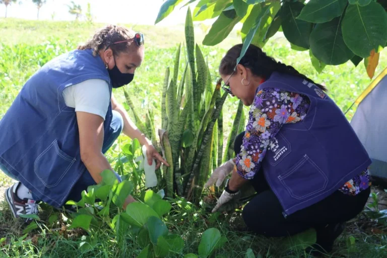 joão pessoa convoca 82 aprovados em concurso para a saúde