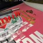 casal suspeito de tráfico é preso em bayeux; drogas e arma apreendidas em operação