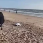 mulher encontrada morta em praia de cabedelo, pb, com suspeita de lesão por arma de fogo