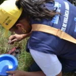 joão pessoa em alerta: combate ao aedes aegypti é crucial