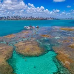 picãozinho: descubra o paraíso submerso da paraíba com Águas cristalinas!