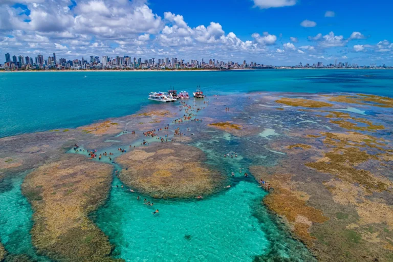 picãozinho: descubra o paraíso submerso da paraíba com Águas cristalinas!