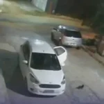 campina grande: mulher é acusada de abandono cruel de animais no jardim paulistano