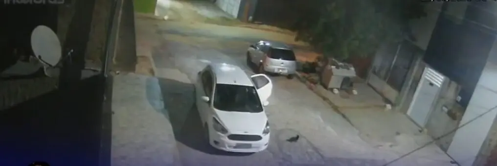 campina grande: mulher é acusada de abandono cruel de animais no jardim paulistano