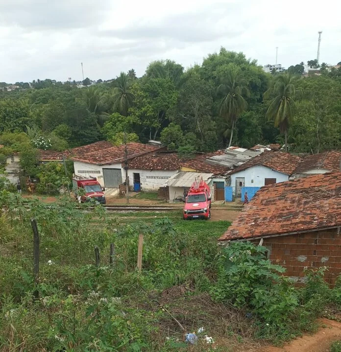 corpo sem cabeça encontrado em mangue de joão pessoa pode pertencer à vítima decapitada em janeiro