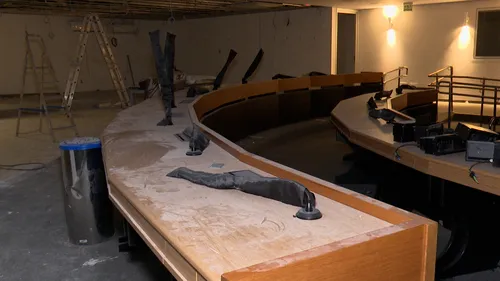 reforma no plenário da alpb: sessões virtuais acontecem enquanto obras avançam em espaços chave