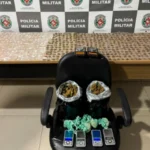 pm de joão pessoa desmantela esconderijo de drogas em cruz das armas: mais de 800 porções apreendidas em casa abandonada