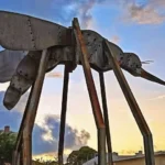 fotofolia 2024: exposição no centro histórico de joão pessoa celebra 40 anos do bloco muriçocas e a rica cultura do carnaval