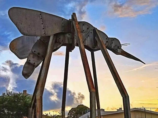fotofolia 2024: exposição no centro histórico de joão pessoa celebra 40 anos do bloco muriçocas e a rica cultura do carnaval