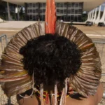 câmara aprova universidade federal indígena (unind) para fortalecer saberes ancestrais