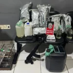 polícia militar de cuité apreende drogas e simulacro de fuzil após flagrar pássaro em gaiola: suspeitos detidos