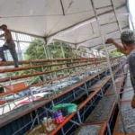 carnaval tradição de joão pessoa: desfiles remarcados após arquibancada ceder e gerar preocupação, veja novas datas