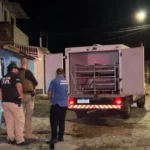 chocante: falsos policiais matam homem a tiros na frente dos filhos em bayeux; suspeitos arrombaram a casa