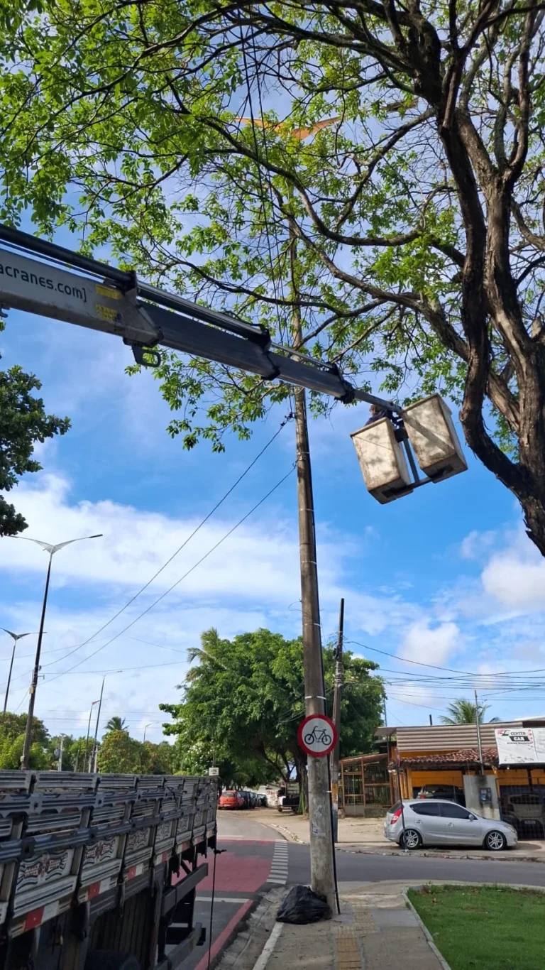 joão pessoa: podas de árvores em manaíra e engenho velho hoje!