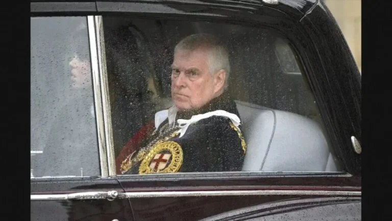 zona e seção eleitoral: entenda a diferença essencial para seu voto