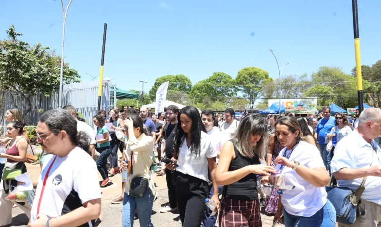 fies 2026: prazo final hoje para complementar inscrição e garantir financiamento estudantil