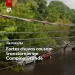 Rua em Campina Grande com árvore caída sobre poste e fiação após tempestade de granizo