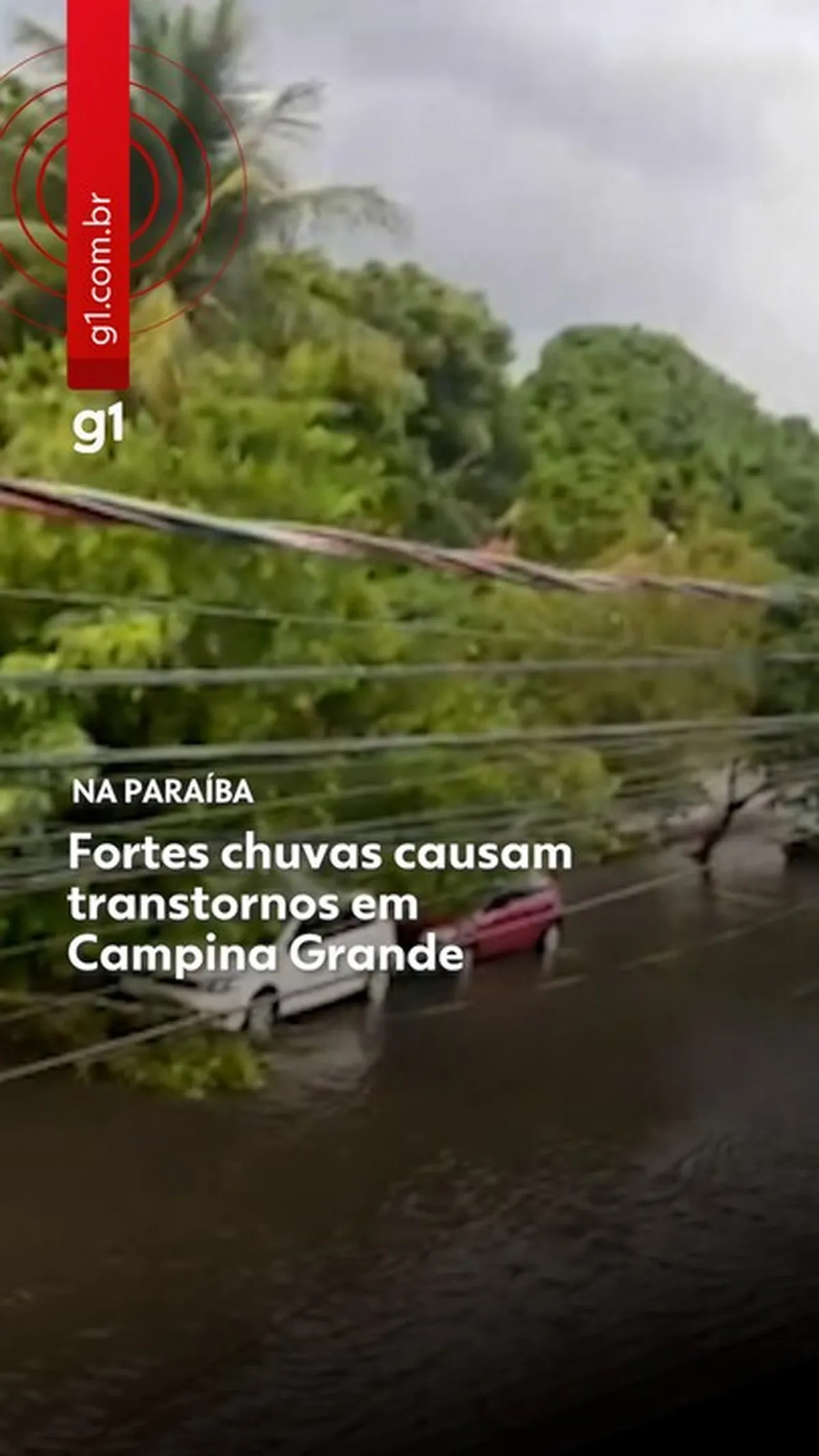 Rua em Campina Grande com árvore caída sobre poste e fiação após tempestade de granizo