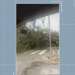 Árvore caída bloqueando rua e poste de energia derrubado em Campina Grande após tempestade.