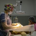 Veterinária examinando cão na Clínica do Pet em João Pessoa.