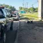 Cena de crime sob um viaduto em João Pessoa onde um corpo esquartejado foi encontrado em sacos.