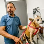 Médico veterinário examina cão no Hospital do Pet em João Pessoa.
