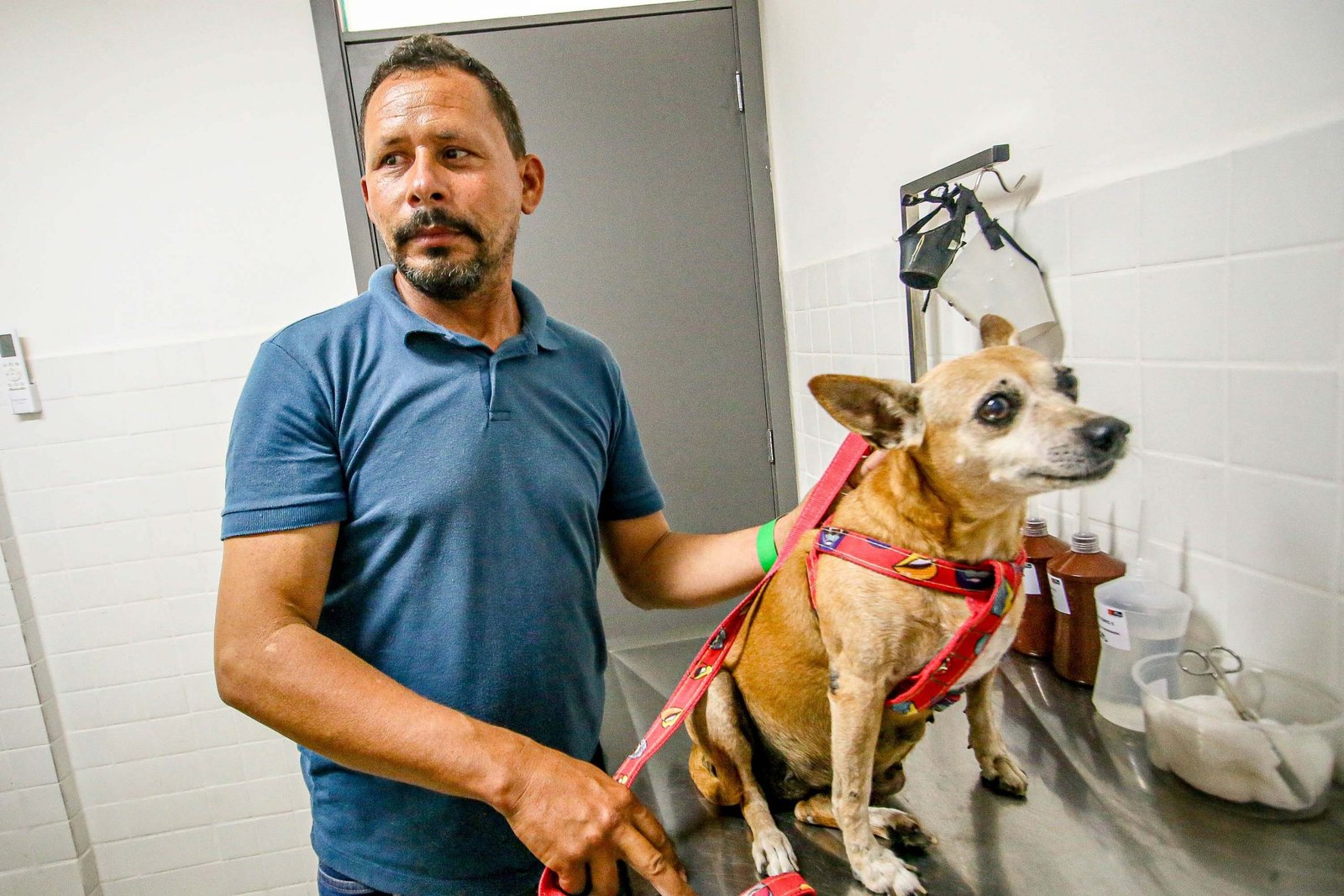 Médico veterinário examina cão no Hospital do Pet em João Pessoa.