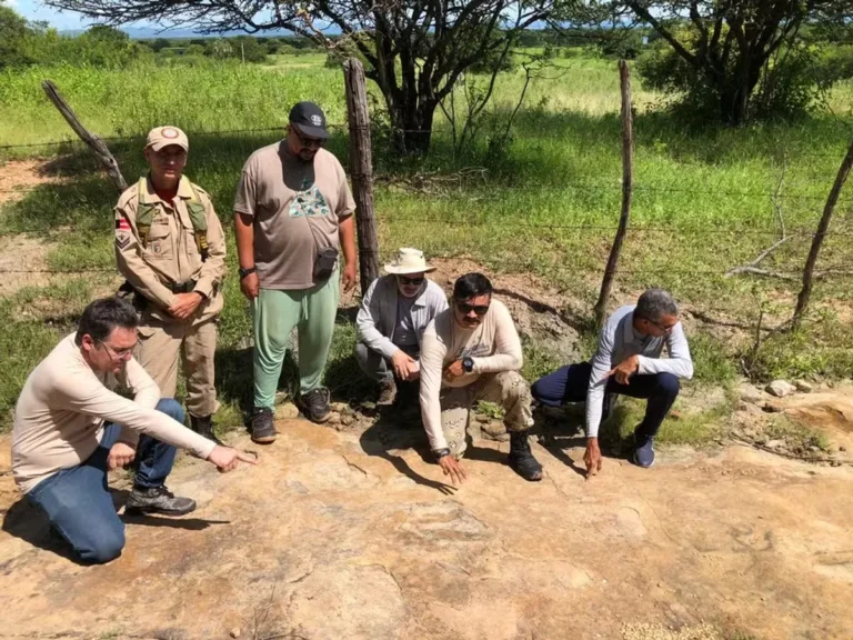 Maior pegada de dinossauro do Brasil descoberta em Sousa, Paraíba