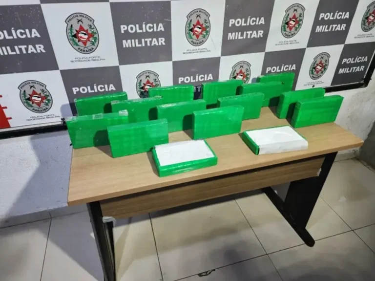 Pacotes de cocaína apreendidos pela Polícia Militar em área de mata.