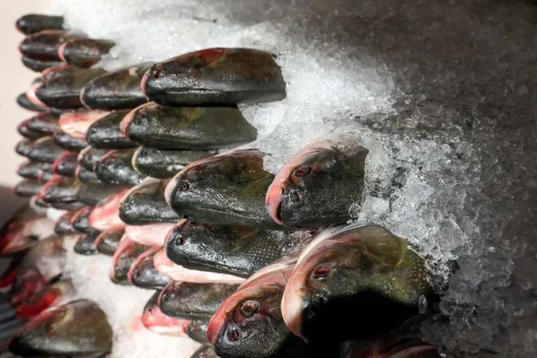 Banca de peixes frescos em mercado público de João Pessoa com vendedor