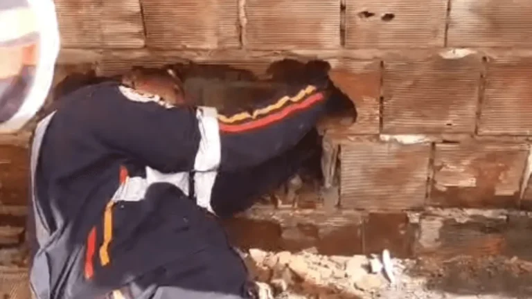 Profissional de saúde resgatando bebê recém-nascido de espaço entre muros