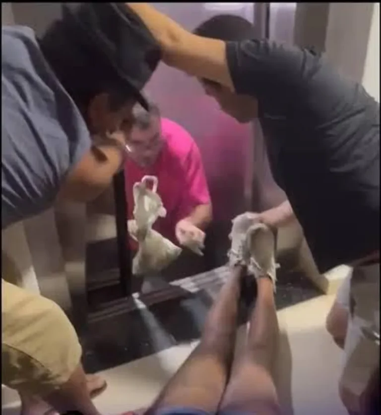 Leito hospitalar vazio e bem arrumado em quarto iluminado, simbolizando recuperação e cuidado médico.