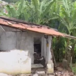 Corpo desenterrado em quintal residencial em Campina Grande